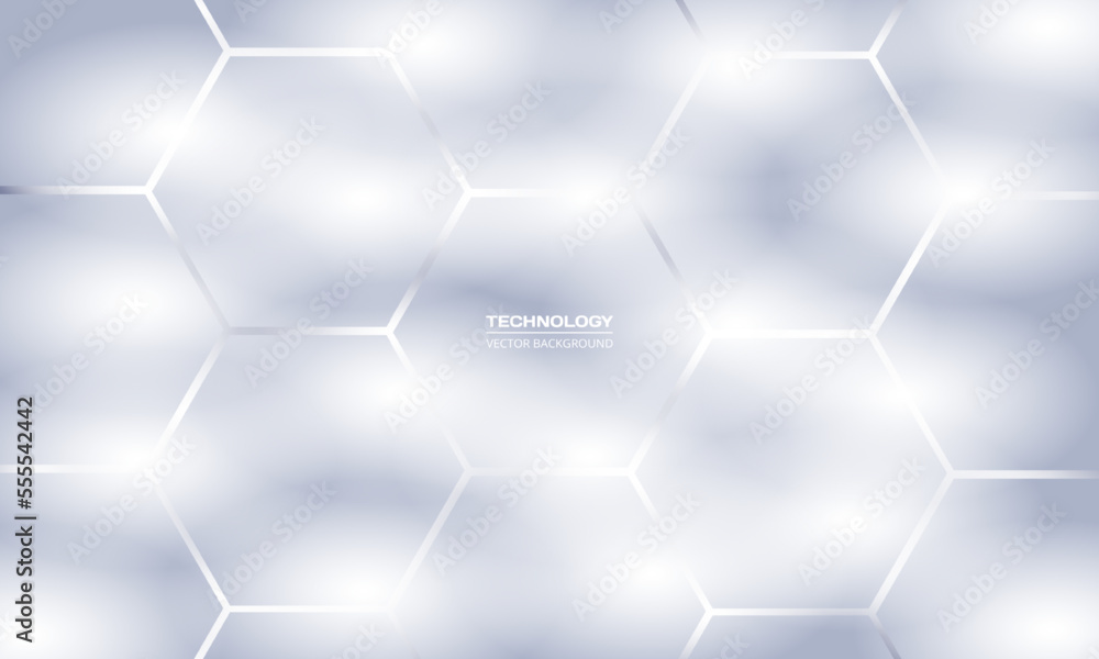 Poster White and gray hexagonal technology vector abstract geometric background. Soft grey hexagon in modern technology futuristic background. Grey and white mesh honeycomb texture. Vector illustration.
