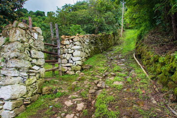 Camino Empedrado y pared de piedra