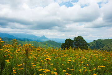Disfrutando de los Hermosos paisajes naturales de las montañas en la Sierra Madre del Sur, México