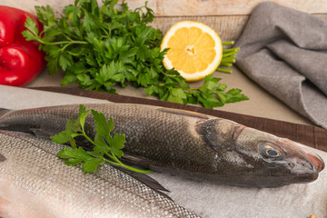 Fresh raw sea bass fish, lemon slices, parsley, red pepper  and salt on wooden table, closeup