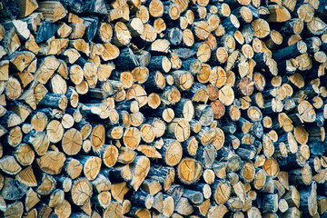 Stacked firewood, prepared for winter