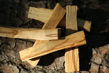 Palo santo sticks on tree bark, top view