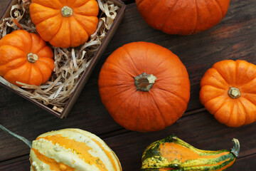 Crate and many different pumpkins on wooden table, flat lay