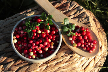 Delicious ripe red lingonberries in bowl and wooden spoon on wicker basket outdoors, above view