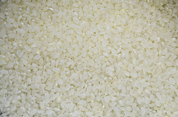 White fine grain rice. Detailed texture of white rice, macro photography of rice. Uncooked raw rice