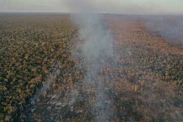 Fire burning through Kirindy forest
