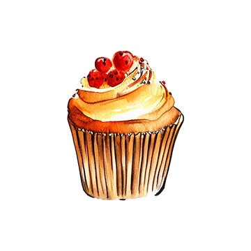 sweet muffin hand drawn with style watercolor