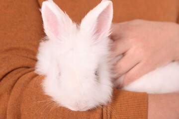 Obraz premium Man with fluffy white rabbit, closeup. Cute pet