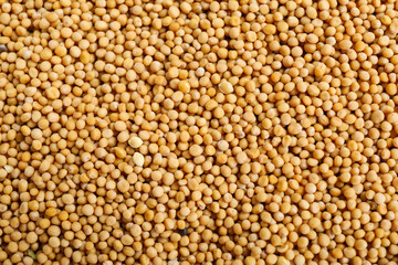Aromatic mustard seeds as background, top view