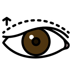 eyelid line icon