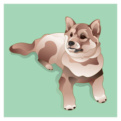 柴犬の子犬イラストレーションです。