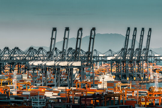 Container terminal