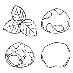 Doodle Japanese sweets. Hand drawn sketch of traditional asian food. Vector flat illustration on white background.