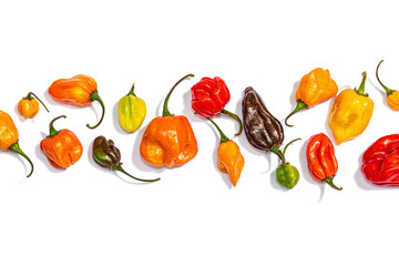 Assortment of colored peppers isolated on white background. Different varieties, trendy hard light