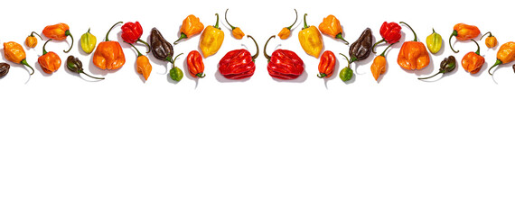 Assortment of colored peppers isolated on white background. Different varieties, trendy hard light