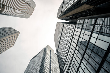 Fototapeta premium office building