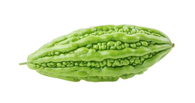 Bitter melon on transparent png
