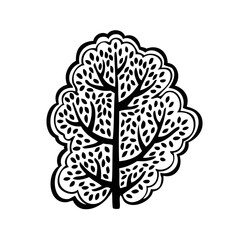 Black and white vector deciduous tree
