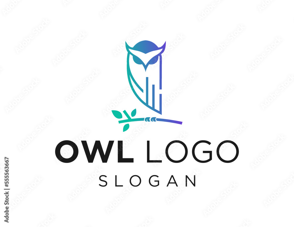 Poster logo design about owl on a white background. made using the coreldraw application.