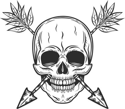 Vintage Skull With Native American Indian Arrow Monochrome Isolated Illustration