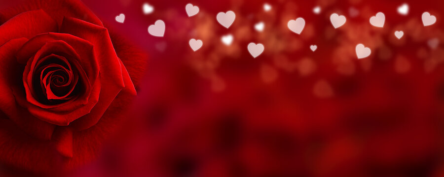Happy Valentine`s day. Heart Background red.