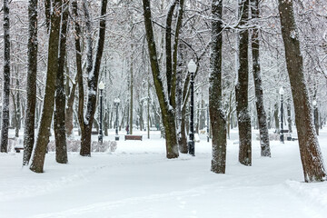 snowy city park in winter during snowfall. snow-covered frozen trees, benches and lanterns.