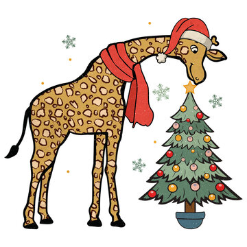 Giraffe Eating Christmas Tree