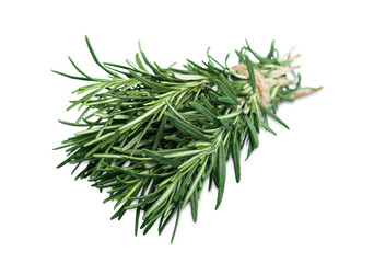 Fresh green aroma rosemary leaves