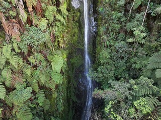 Waterfall in a Peruvian cloud forest