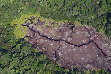 Dried peat lake
