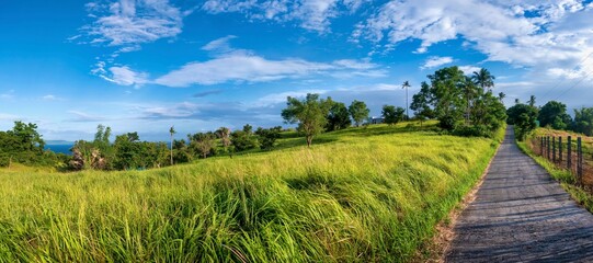 Panoramic view of a beautiful, windswept piece of undeveloped land, with a narrow lane running through the long grass. On Mindoro Island, Philippines.