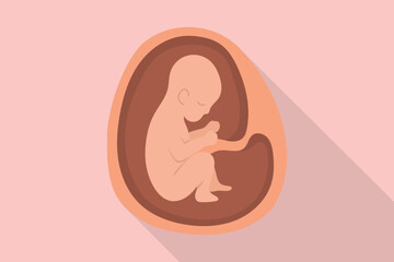 baby womb embrio for pregnant or pregnancy with modern flat style and long shadow