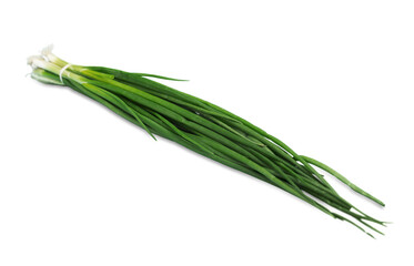 Fototapeta premium Fresh herbs