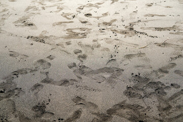footprints in the beach sand, texture of the sand