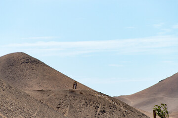 Cruz de Mayo in the Atacama desert, next to the Azapa Valley