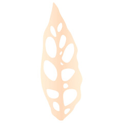 leaf elements aesthetic color