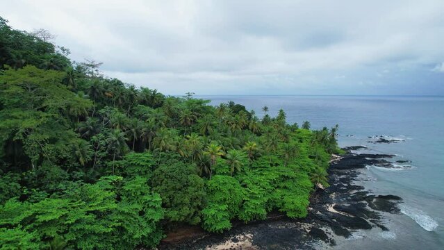 Aerial view over jungle and palm trees on the coast of cloudy Sao Tome, Africa