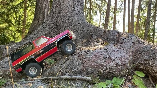 A remote controlled crawler drives over a tree root in the forest. RC Car