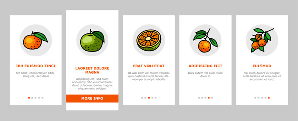 mandarin clementine orange fruit onboarding mobile vector. tangerine citrus, fresh food, organic sweet green leaf, healthy juice tropical slice mandarin clementine orange fruit Illustration