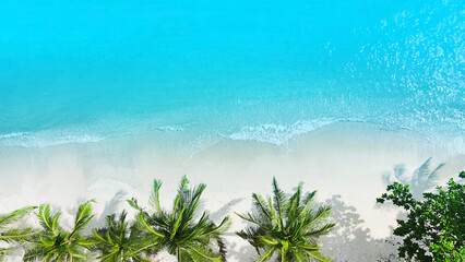 The Tropical  Summer palm trees beach and sandy beach and ocean with waves background