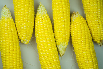 Fresh, yellow cobs of appetizing corn. Top view