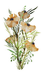 Bouquet of wild flowers with herbs. Yellow wild poppies watercolor