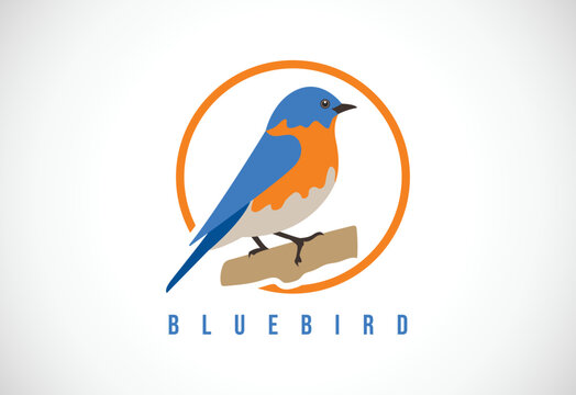 Bluebird In A Circle. Bluebird Logo Design Template Vector Illustration