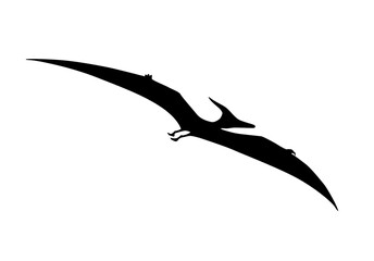 silhouette of a pterosaur on a white background