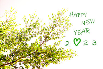 New Year's card 2023 concept. Patterned background of light green bushes.soft and selective focus.