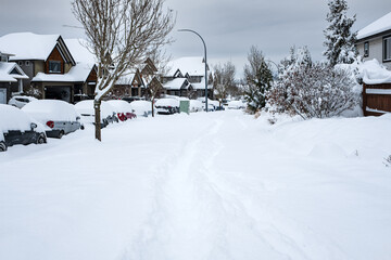 Snow covered city street during a heavy snowfall. Lots of snow on the sidewalk, cars and tree branches. Winter city