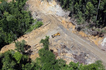 Bulldozer at a conventional logging site in Borneo