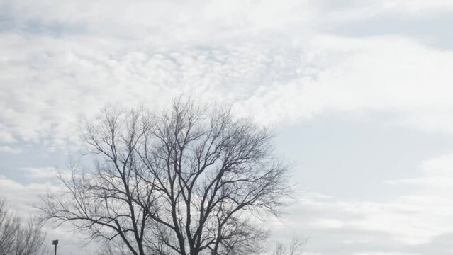 time lapse of fast moving gloomy clouds over a tree