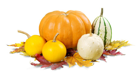Fresh pumpkins, autumn leaves on the desk © BillionPhotos.com