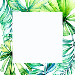 Fototapeta na wymiar Exotic plants, tropical leaves frame watercolor illustration on white